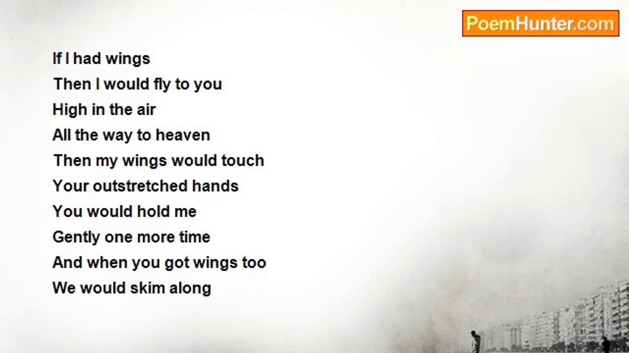 Katinka Havermans - Wings