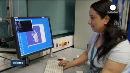 Bilim insanları böceklerden teknoloji öğrenecek