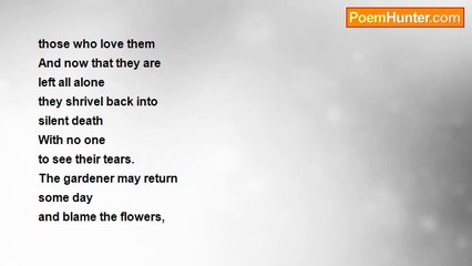 Yiling Ding - The Gardener Who Left