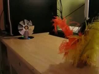 How to Make a fan *amazing *