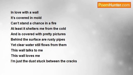 Samantha Stough - Wall