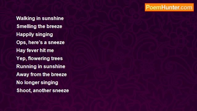 Lento Maez - Allergies