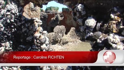 Anniversaire du débarquement : visite guidée d'une épave