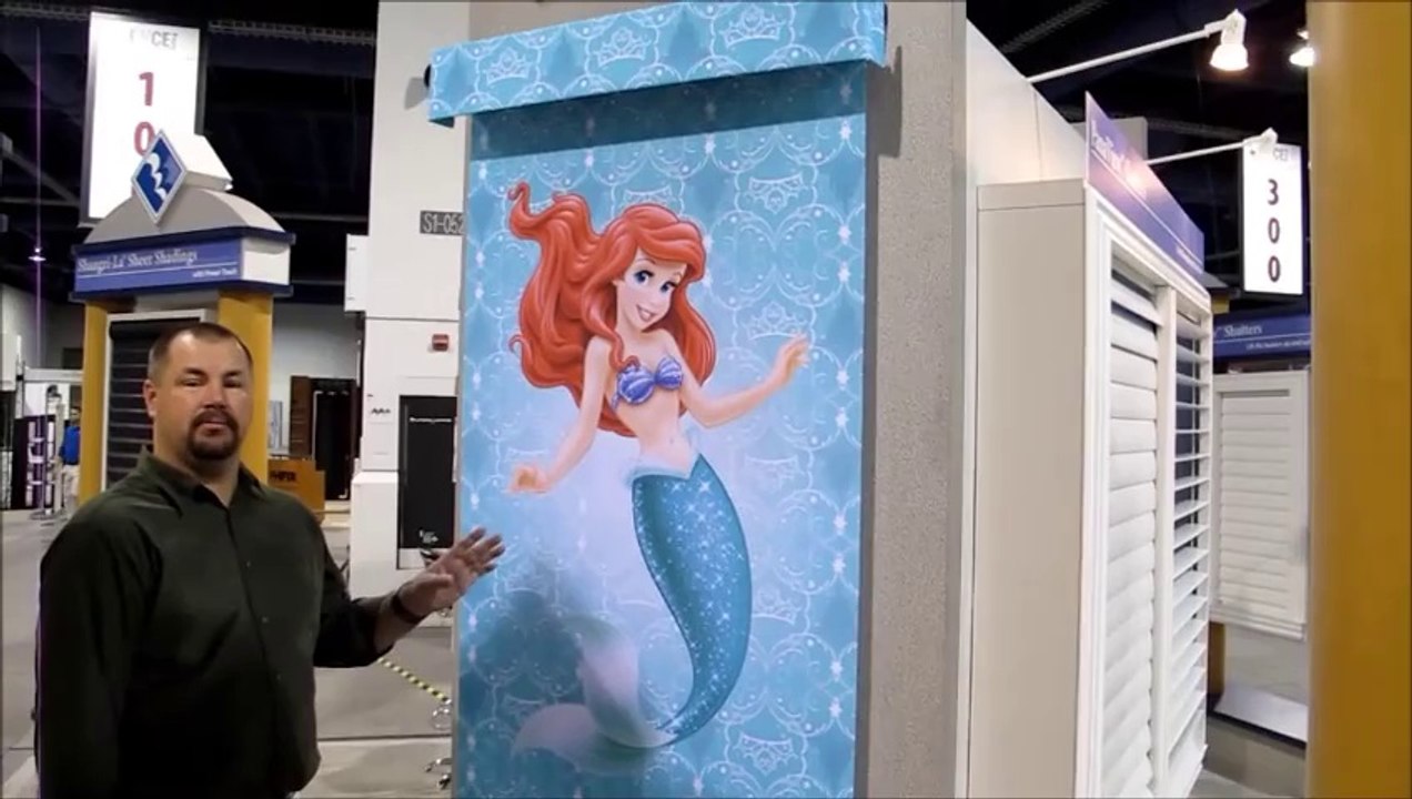 Screen Printed Roller Shades w/ your NFL/MLB/NCAA Team's Logos OR Disney Character