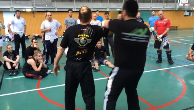 KRAV MAGA COURSE IN FRANCE WITH ALAIN COHEN JUNE 2014 krav-security.com קרב מגע אלן כהן אשדוד