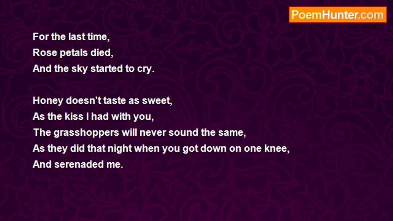 Brianna King - Rose Petals