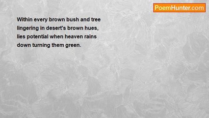 RoseAnn V. Shawiak - Desert Thought