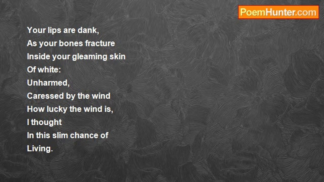 Windsor Guadalupe Jr - All Of You: Sequestered Waltz