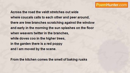 Gert Strydom - Across The Road The Veldt Stretches Out Wide