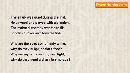 Andy Shqiptar - Save the great white shark