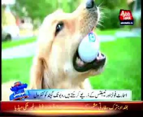 World's first robotic ball