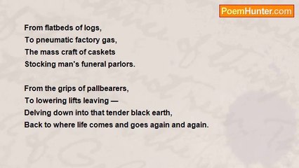 Nicholas Paradis - Rooted