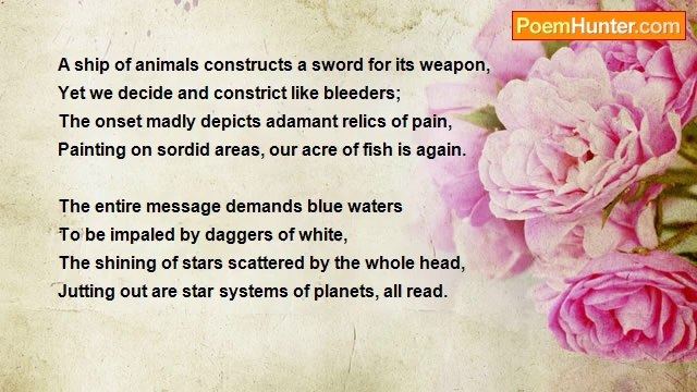 Naveed Akram - Shining Animals