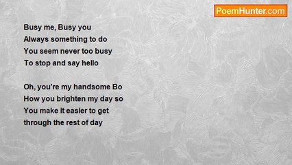 Pookey's Poems - Busy
