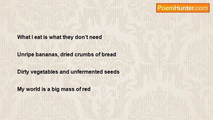 muideen olawale jimoh - Musings of a mad man