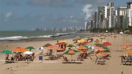Recife steps up shark warnings for unwary World Cup fans