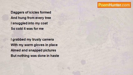 Marilyn Lott - Night Of Solid Ice