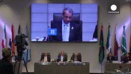 OPEC happy with stable supply and demand, keeps output unchanged