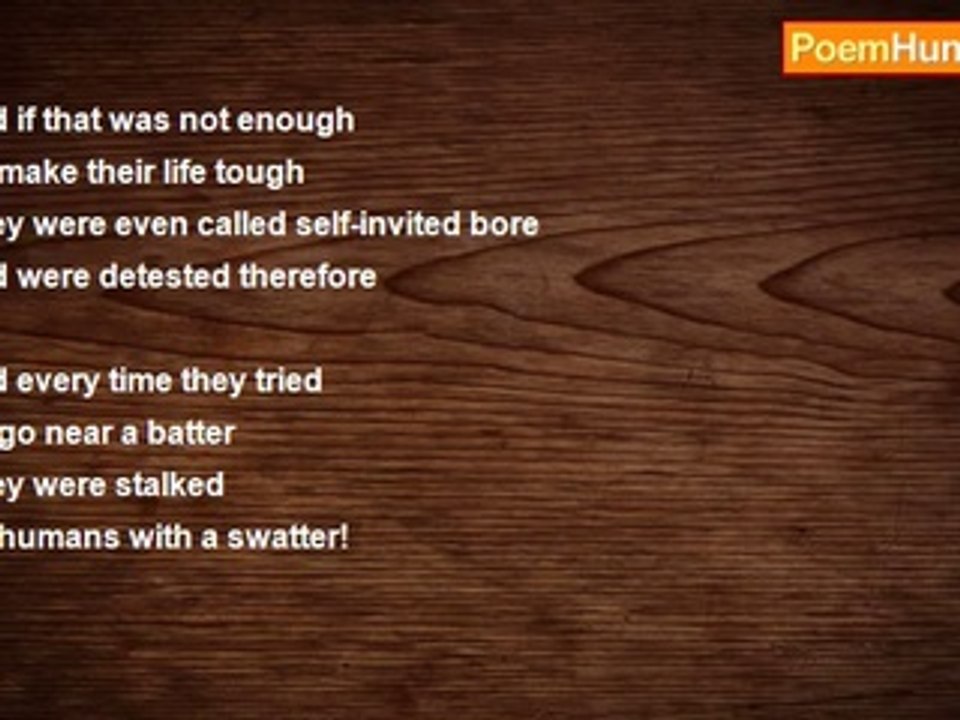 Soma Mukherjee - Fly Fly - Fly Away