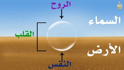 القلب والتزکیہ The Heart & Purification in Sufism
