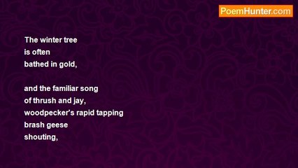 Steven Federle - This Day Will Not Come Again