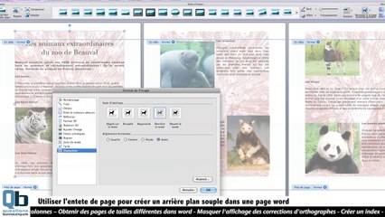 Comment mettre une image en arrière plan sous word simplement ? - Vidéo  Dailymotion