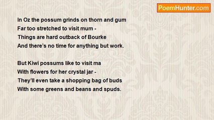 Keith Johnson - ANZAC Chums and Their Mums – The Possum