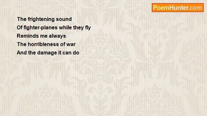 Asif Andalib - The Fighter-planes