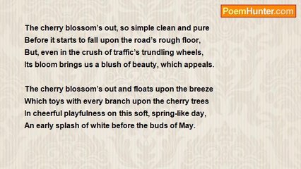 C Richard Miles - The Cherry Blossom's Out