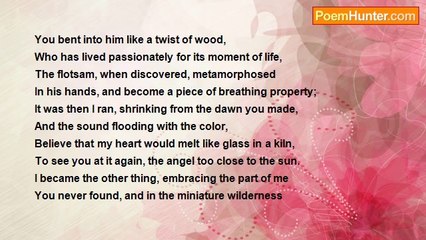 Robert Rorabeck - The Sunrise's Necromancy