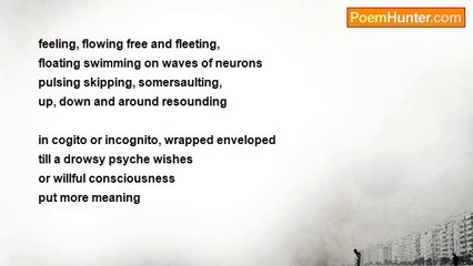 shimon weinroth - A Touch Is A Touch