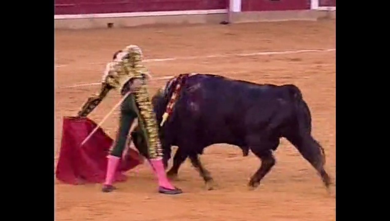 Oreja de Manolo Sanchez en Zaragoza