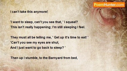 Linda Winchell - 'Barn Yard Sounds'