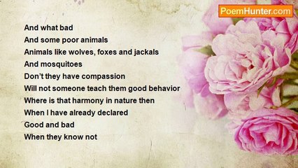 Sadiqullah Khan - Right Or Wrong