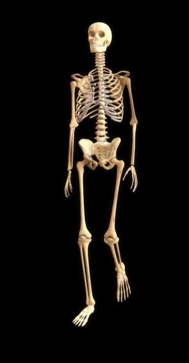 Ganganalyse InGAsys walk cycle (skeleton)