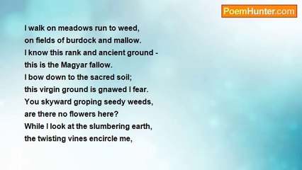 Endre Ady - The Magyar Fallow