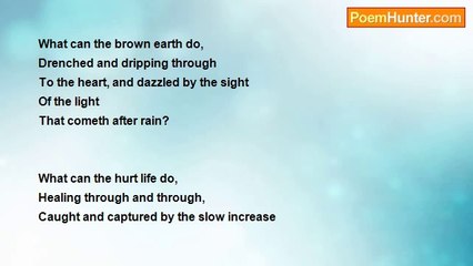 Elizabeth Stuart Phelps Ward - Rain