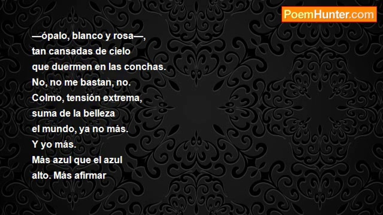 Pedro Salinas y Serrano - Afan