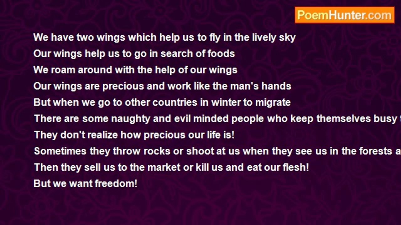 Z.I. Mahmud - The voice of a migratory bird