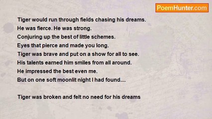 BrandEn Billy - Tiger