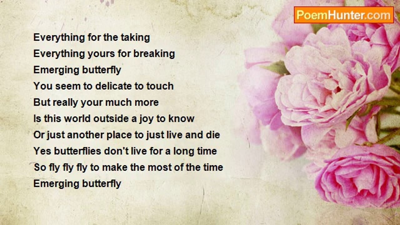 Michael Pyatt - Emerging Butterfly