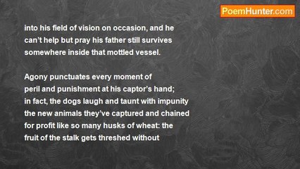 John Weber - Tangata Manu (The Birdmen)