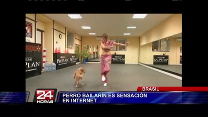 Download Video: Brasil: perro que baila coreografía con su dueña causa sensación en Internet