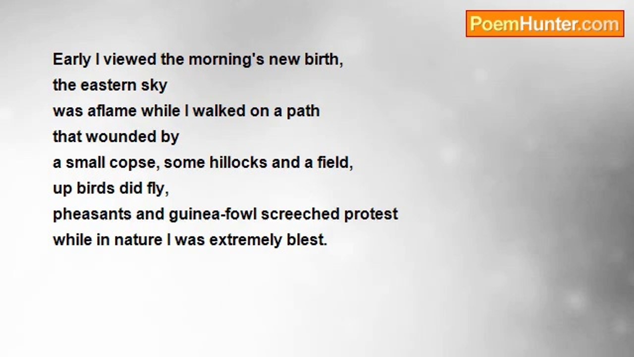 Gert Strydom - Early I Viewed The Morning's New Birth (Cavatina)