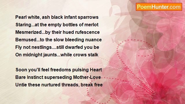 Frank James Ryan Jr...FjR - Of M a t u r a t i o n...