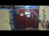 CCTV woman caught stealing Christmas tree from care home