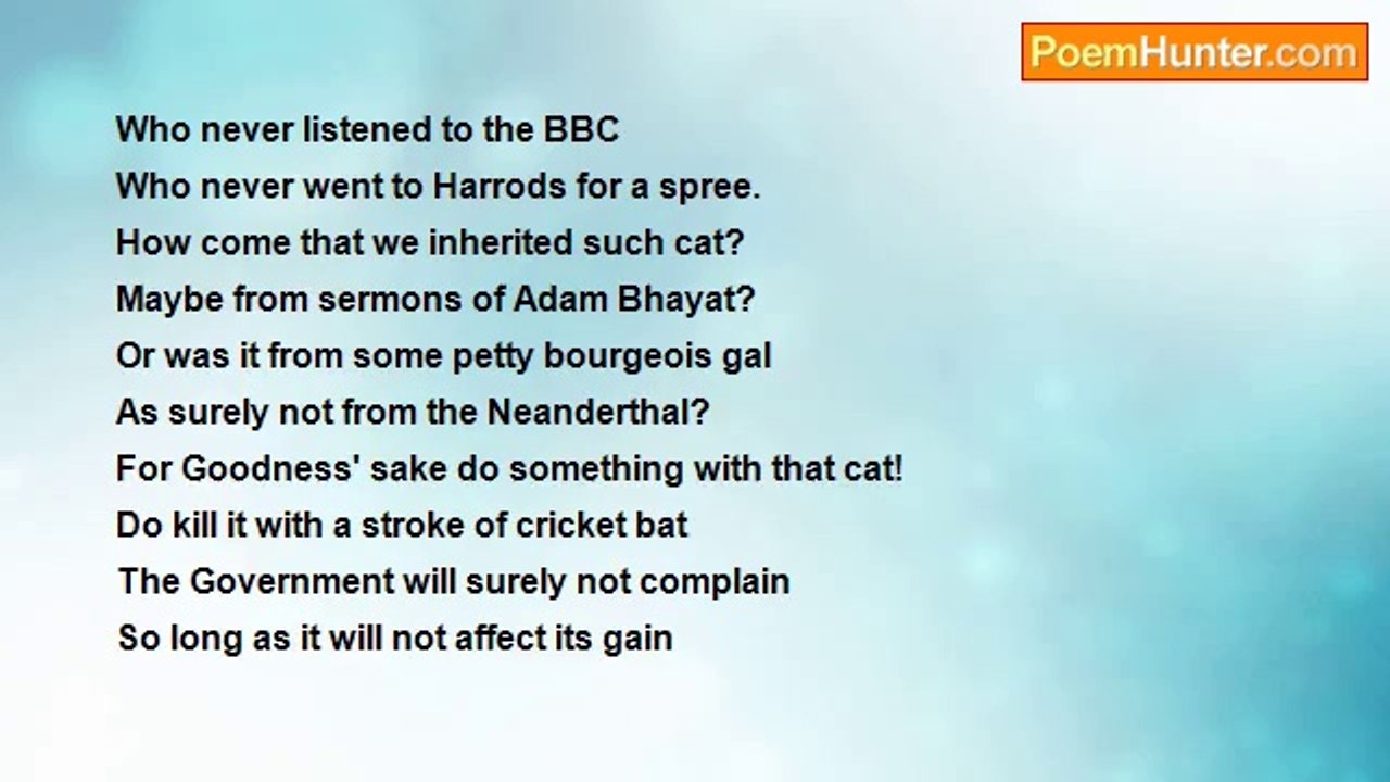 Mircea Dinescu - The Metaphysical Cat