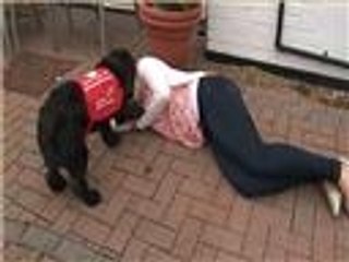 حاسة الشم لدى الكلاب لاكتشاف أمراض الإنسان