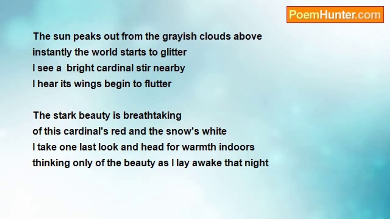 Kellsey Hartmann - Beautiful Winter