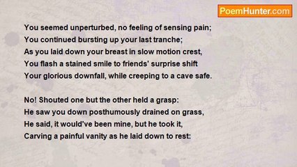 Gil Gregorio - Rains of Fire then Death